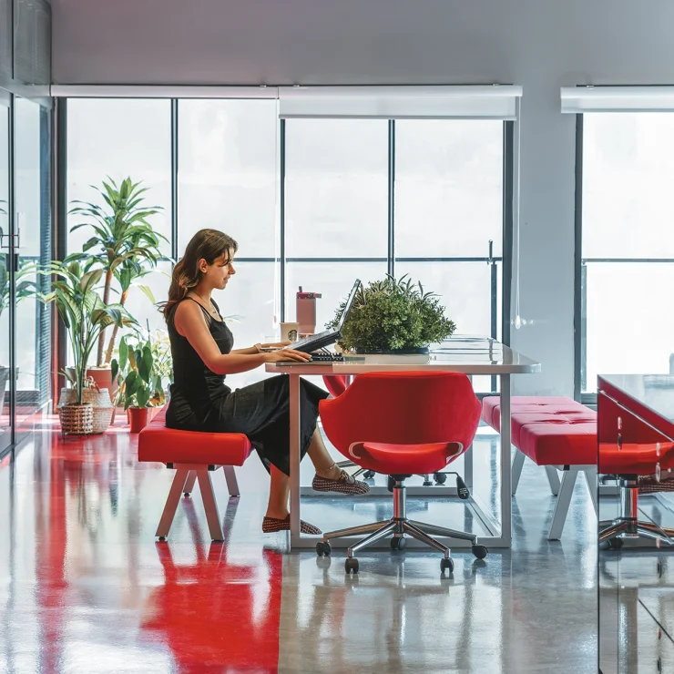 Sanal Ofis Çözümleri ve Ortak Çalışma Alanlarının Yükselişi